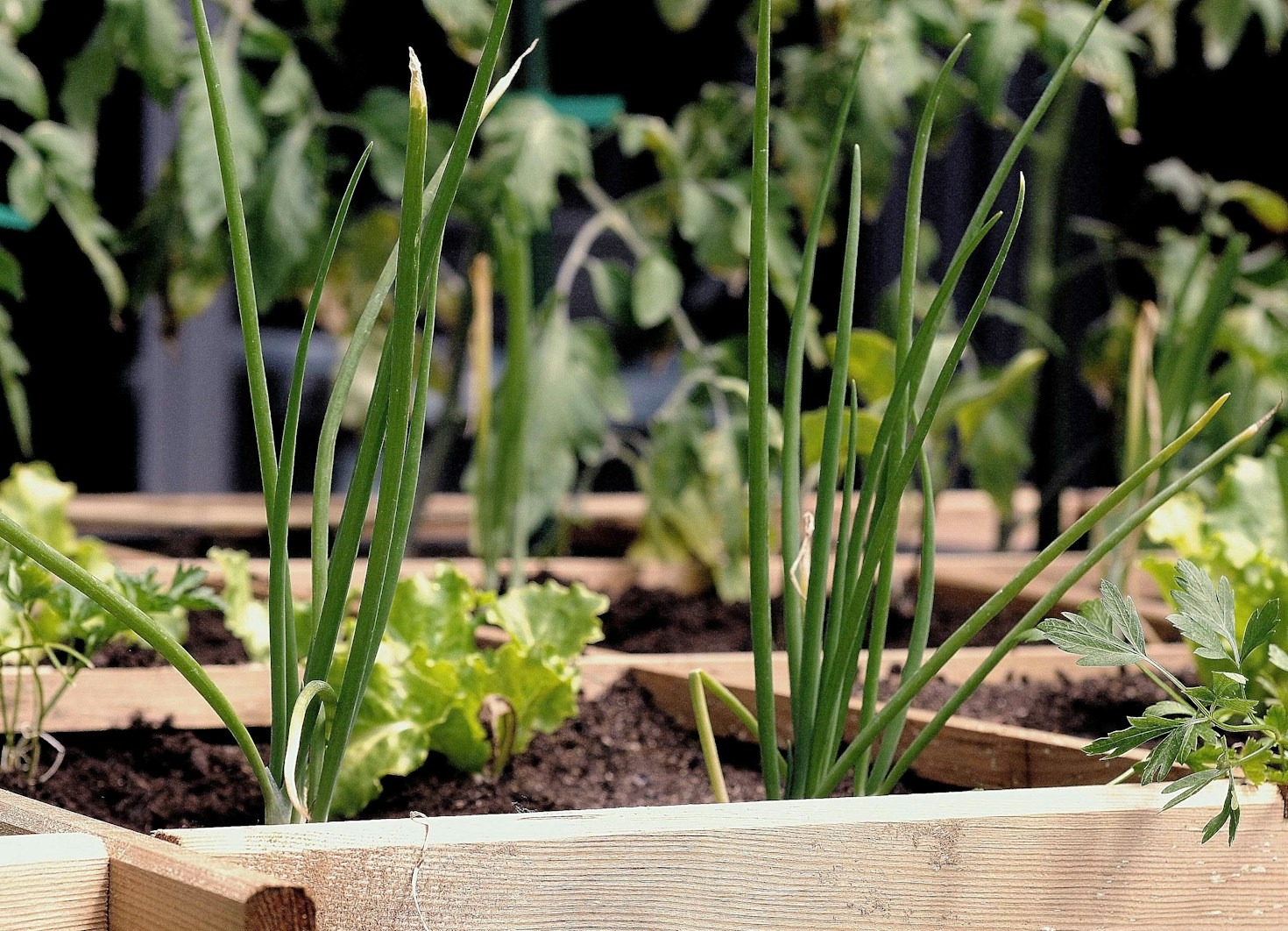 10 Tips for Eco-Friendly Gardening