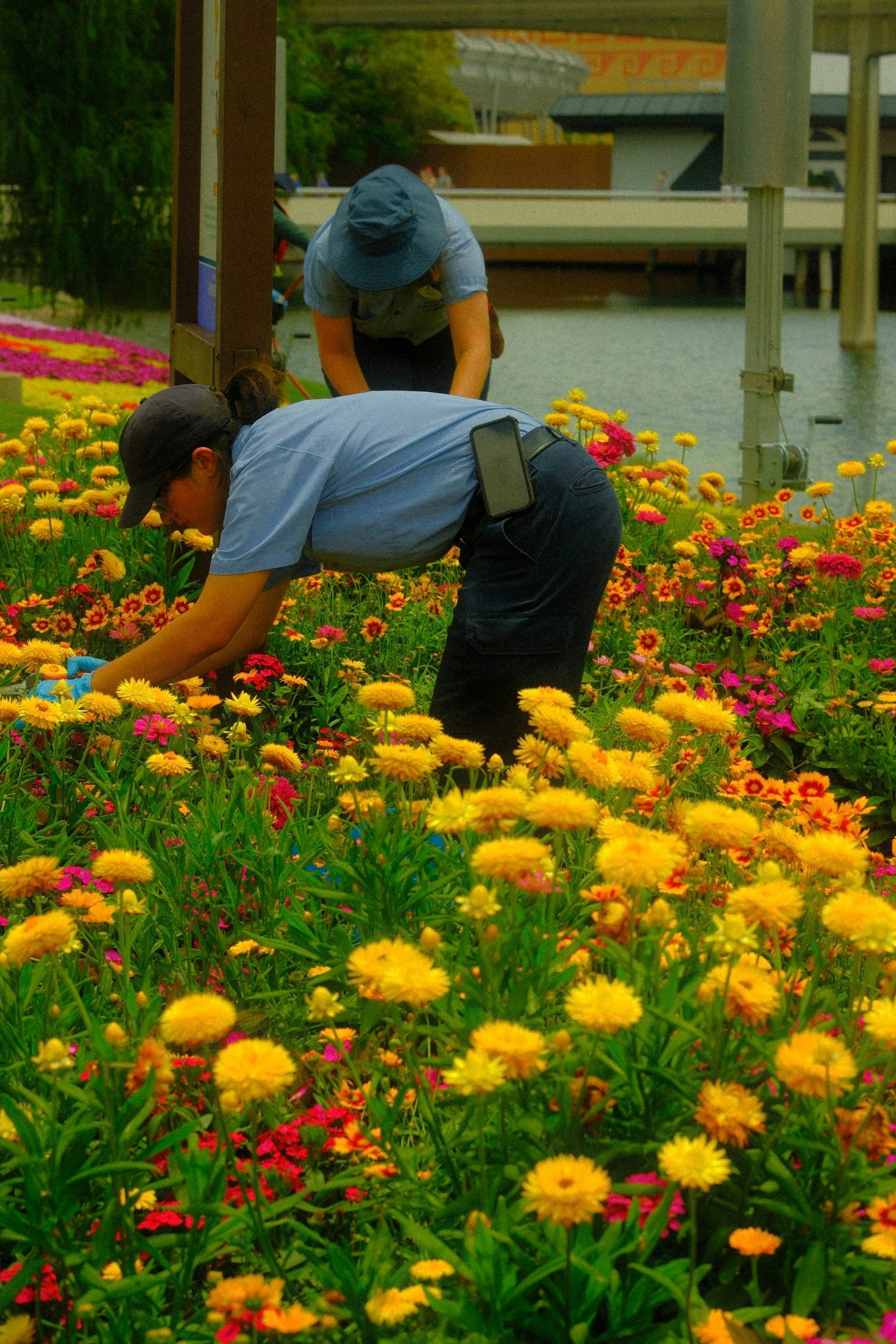 Sustainable Gardening: Simple Changes That Make a Difference