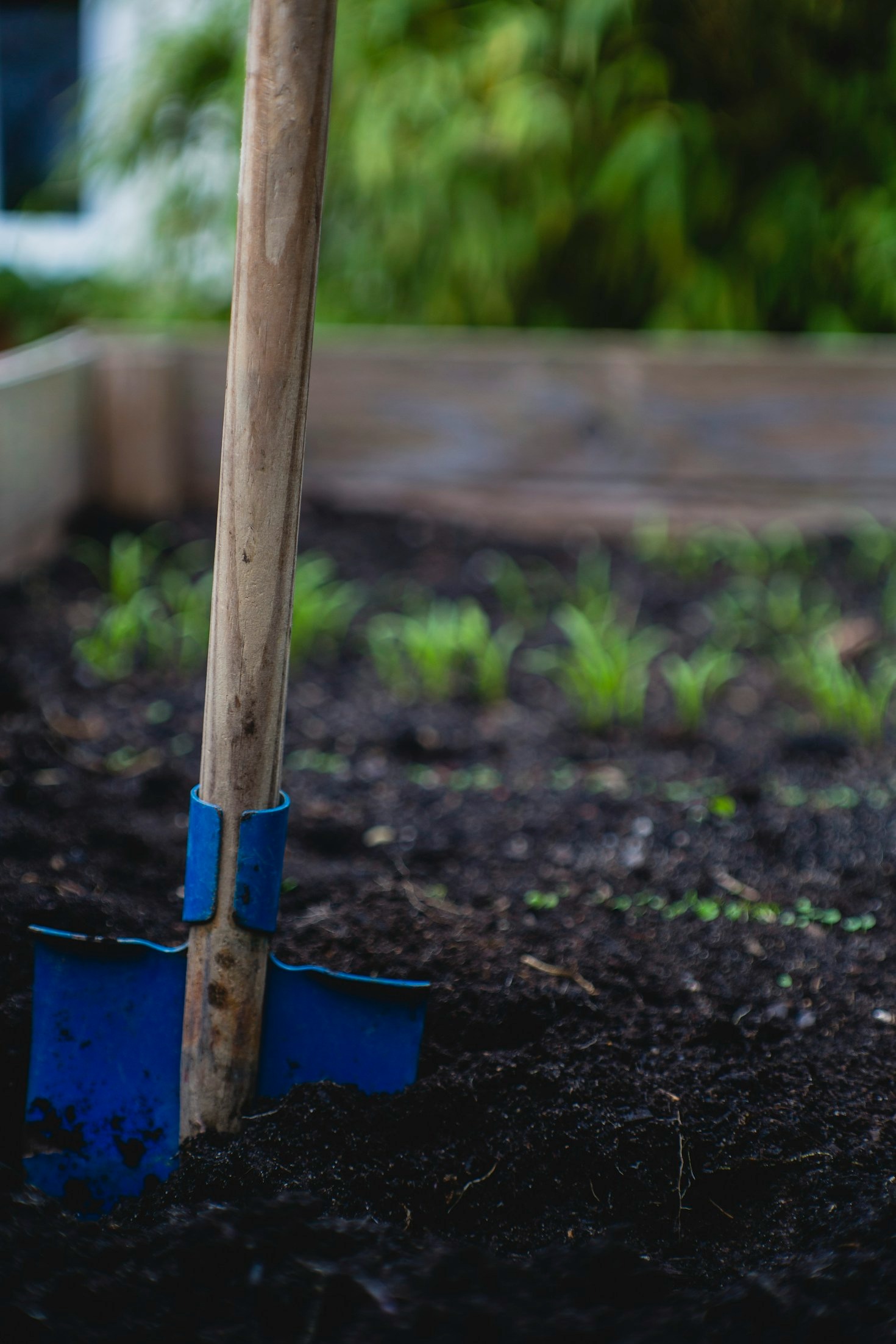 The Ultimate Guide to Sustainable Plant Care