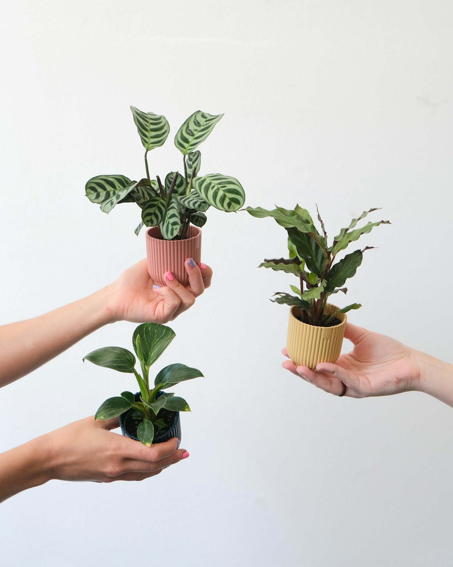 Eco-Inspired Gardens: Creative Ideas for All Seasons